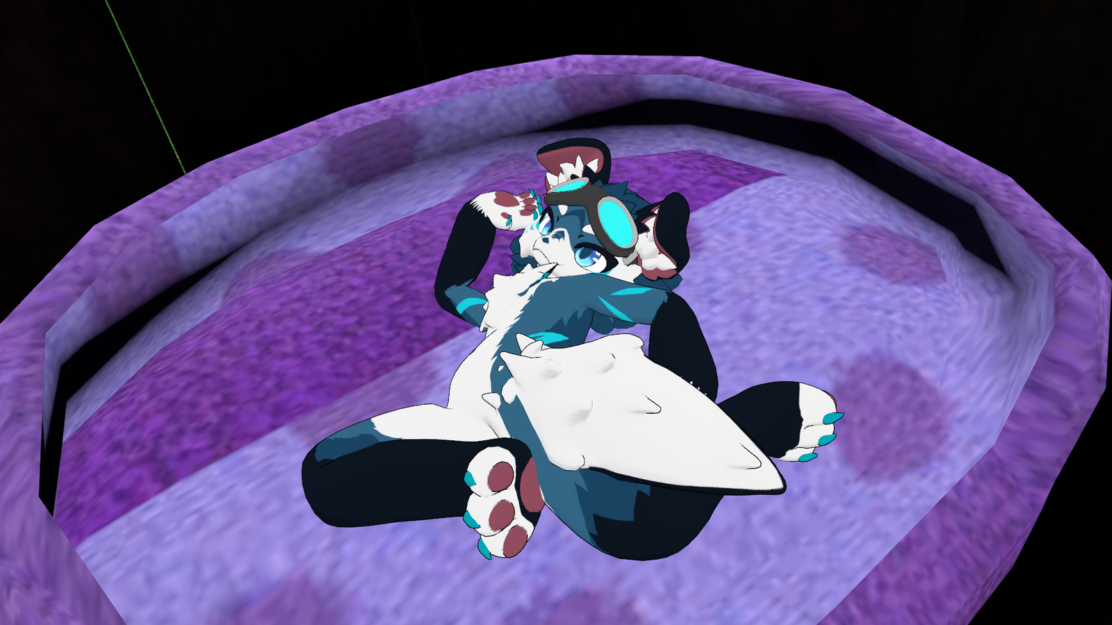 Chibi Nova Pup