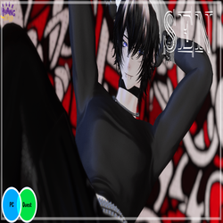 { SEN } PC&QUEST ,GOGO