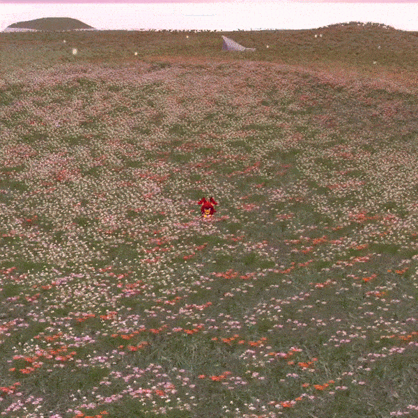 VonBee | Furry Bee | Quest + PC