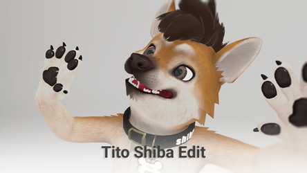 Tito Shiba Edit (VRChat Avatar)