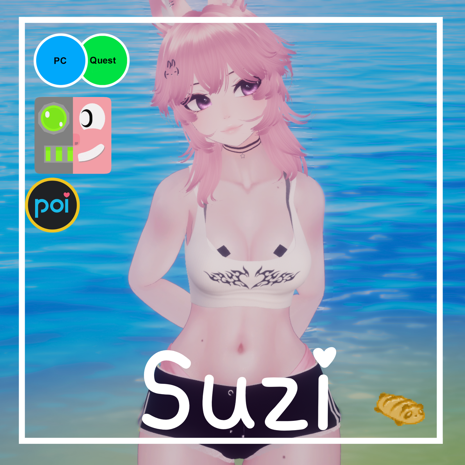 Suzi (PC+Quest+FT)