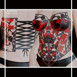 Princess Mesh Corset