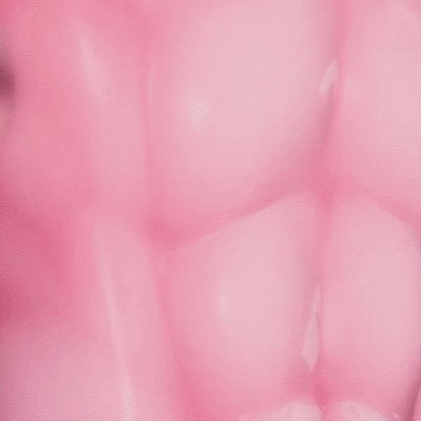 MAJEXX TORO (Gogo loco + Physbone + DPS + VRM)