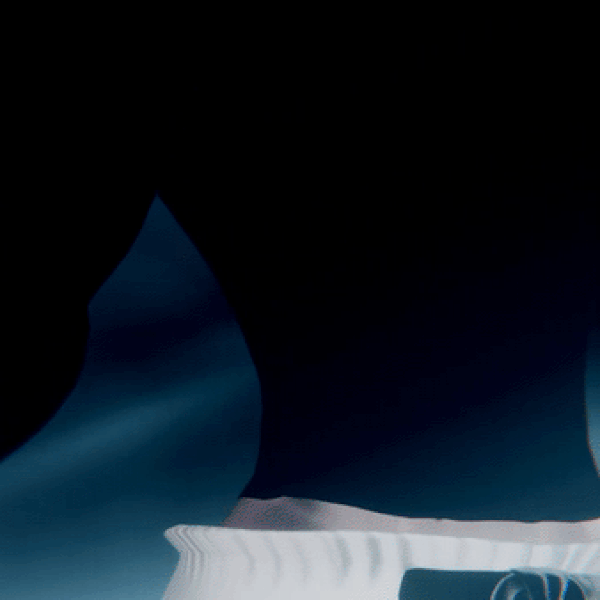 ANGELO (Gogo loco + Physbone + DPS)