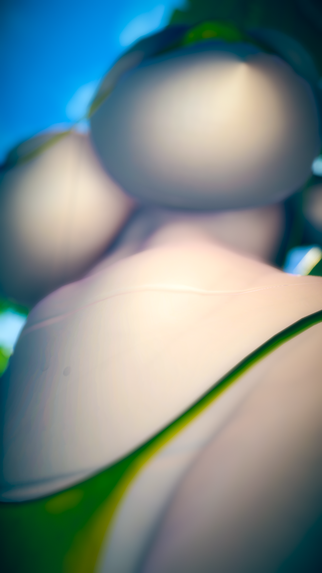 Lily the Snake Tribal - Texture & Material