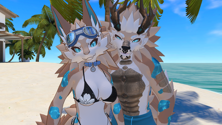 Summer-Novabest