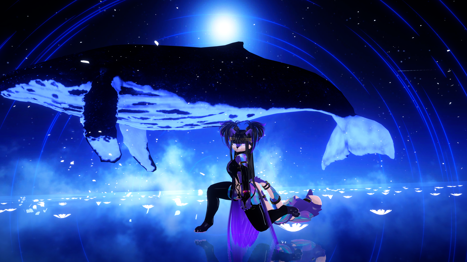 Banner Background