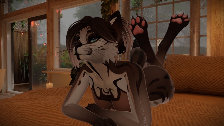  COFFEE CAT TEXTURE PACK | FELIX + CLEO | CUSTOM EMISSIONS + EYE COLORS | VRCHAT READY | FOR FOXIPAWS AVATARS