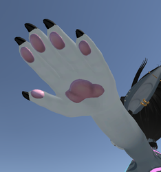 Nanami The Shark - Paws