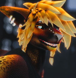 Shawn the Shark - Sea Leopard