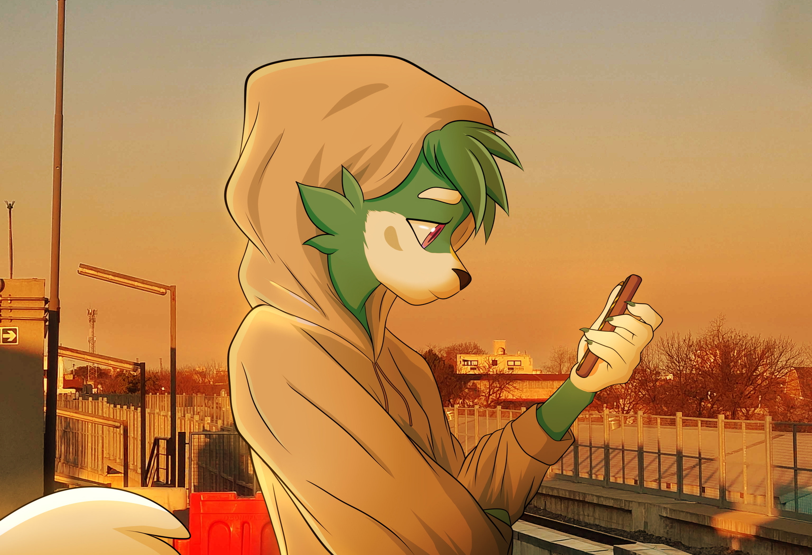 Banner Background