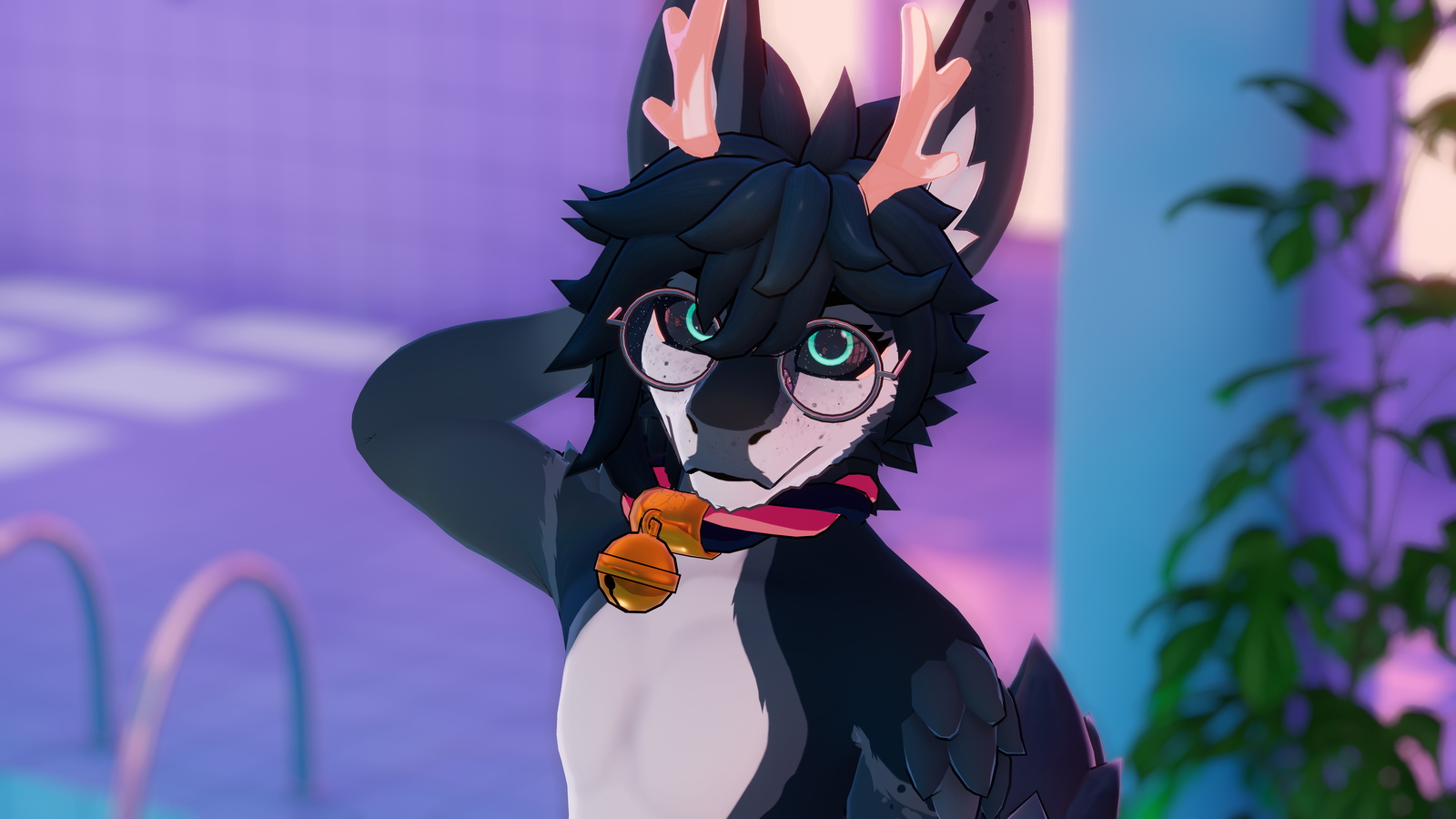 Universal Braided Collar