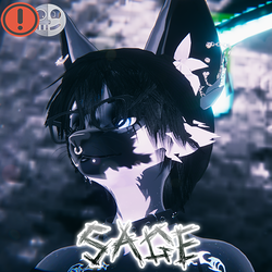 Sage 3.0 (GoLoco/VRCFT/SPS)