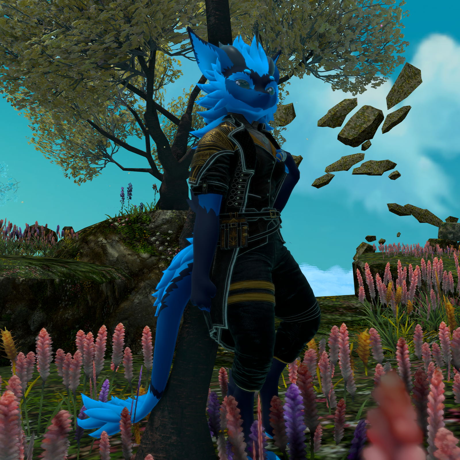 Lune's Expedition Outfit for Nardoragon