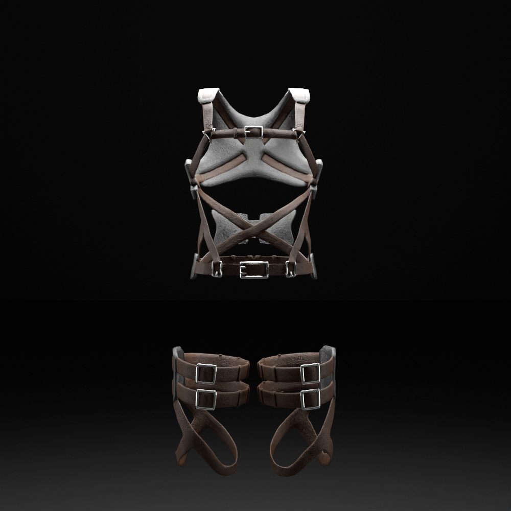 Wall Runner Harness