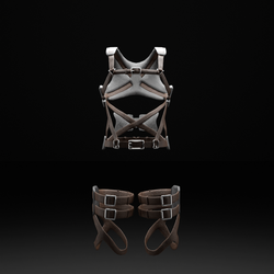 Wall Runner Harness