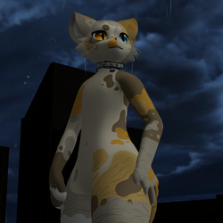 Pastel Calico Mayu Texture