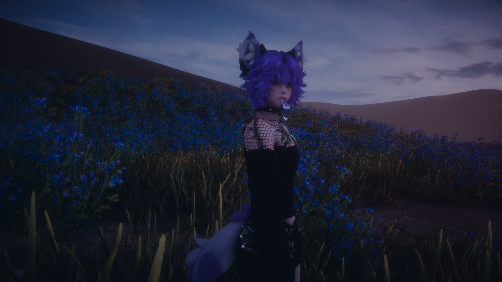 Cal the Cat | PC + QUEST
