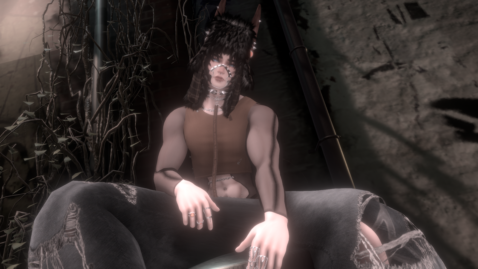 Chase The Dog | PC + QUEST