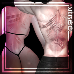 𓆩ﾒ𓆪Body Marks-Scars𓆩ﾒ𓆪" Venus Base" "Zinpia" "Fit & Egirl Base" 4k Textures 入れ墨 *テクスチャ*