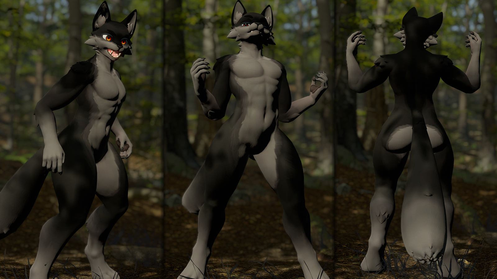 Wolf Legato Texture