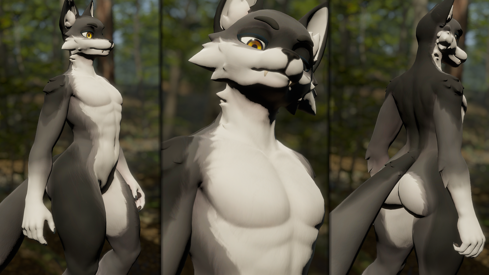 Wolf Legato Texture