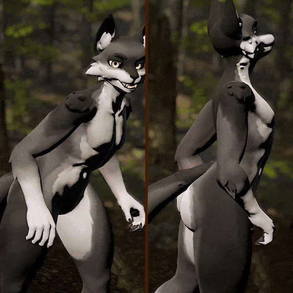 Wolf Legato Texture