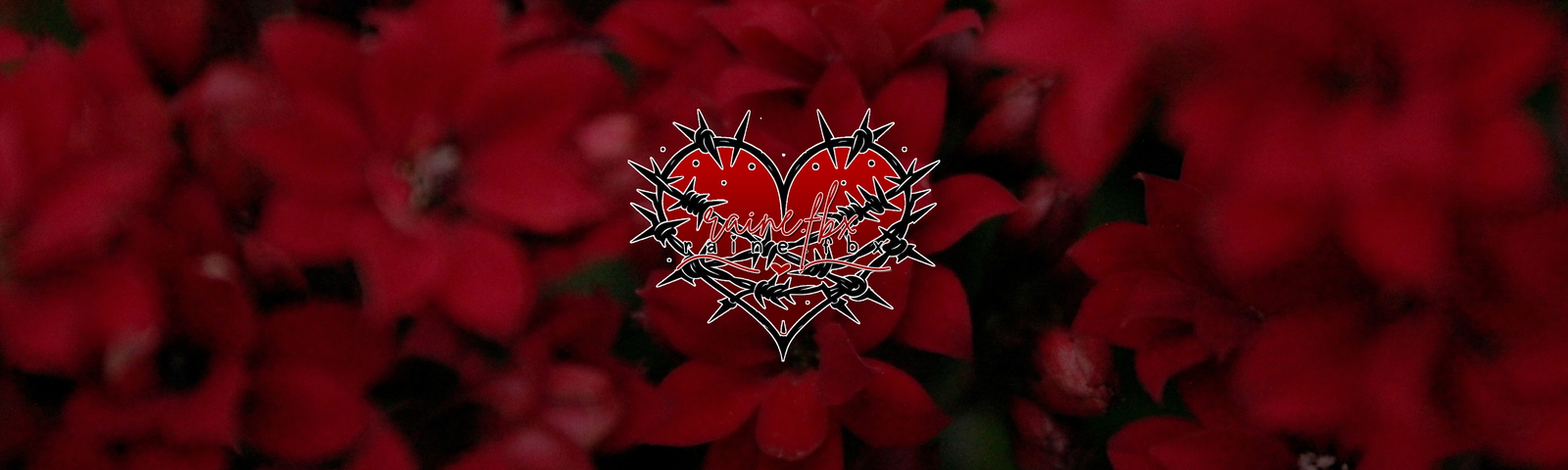 Banner Background
