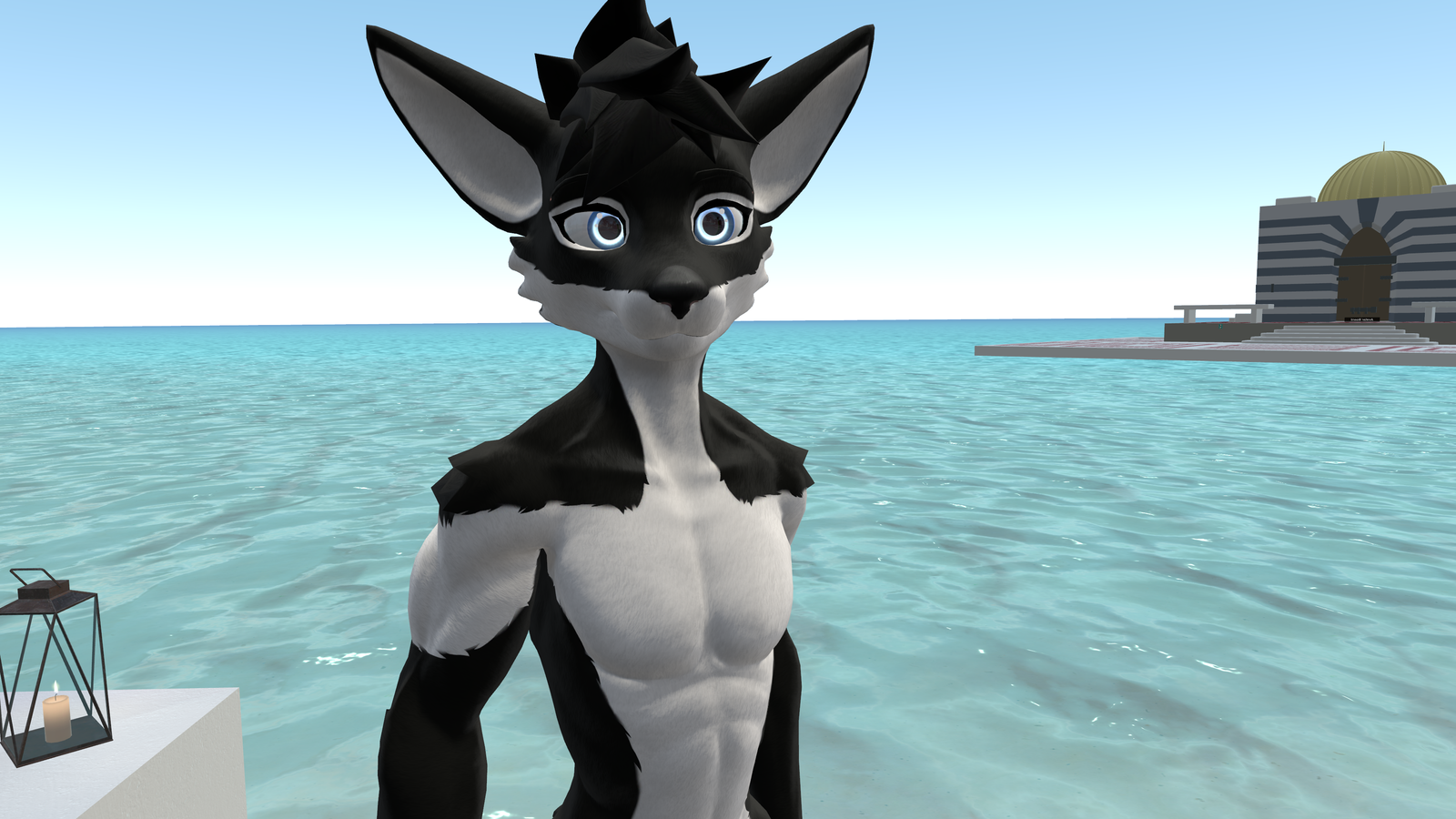 Husky Viwi Texture