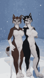 WP Fem- Black & Brown Husky