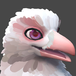 Feathers for Corvid's Corvid