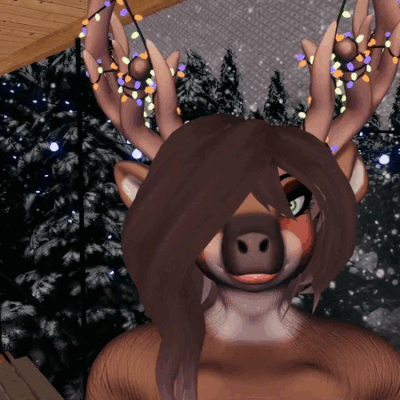 Aurora the Reindeer