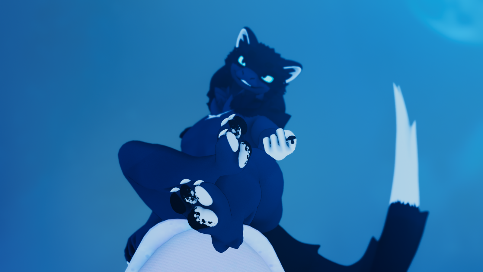 Aoi Northern Aspil Texture