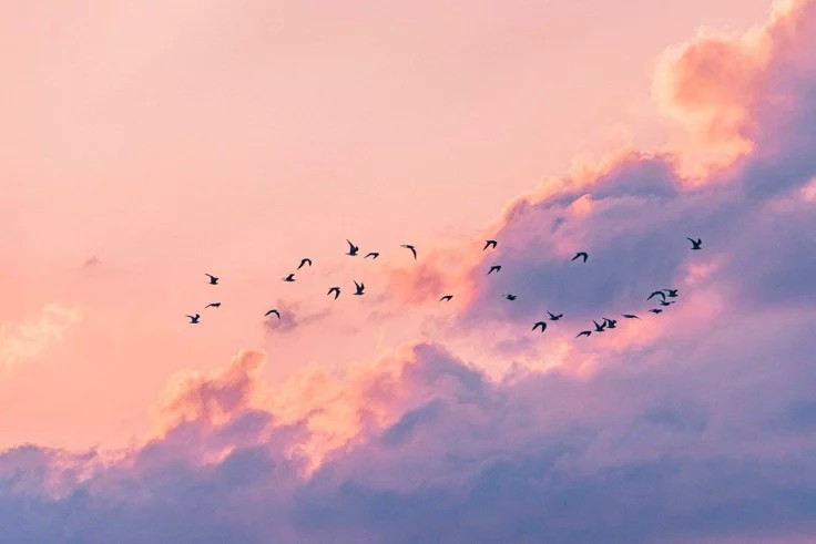 Banner Background