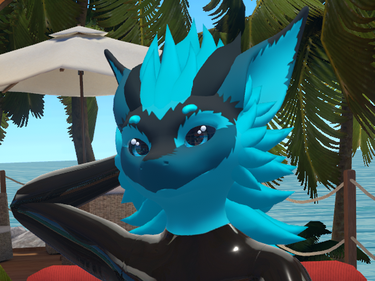 Nardoragon Latex Suit