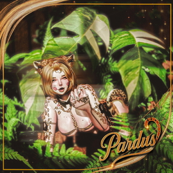 Pardus (PC - FaceTracking)