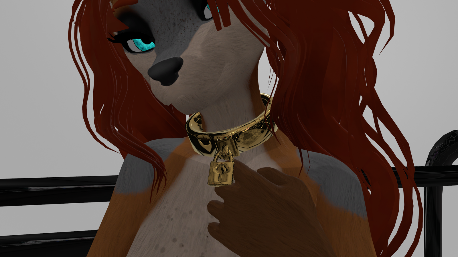 Lock Collar