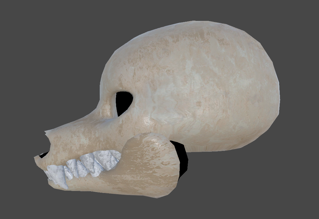 Mamagen Skull