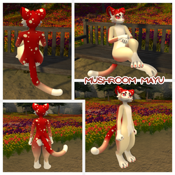 Mushroom Mayu - Textures PNGs