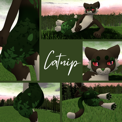 Catnip - Mayu Textures PNGs