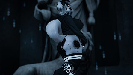 Oreo Dalmtian Honey Bear