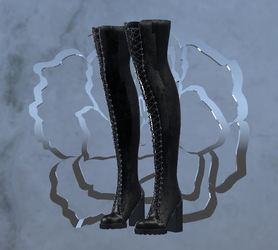 Love, AYUN: Overknee boots (ver. Zinpia, Cupkake)