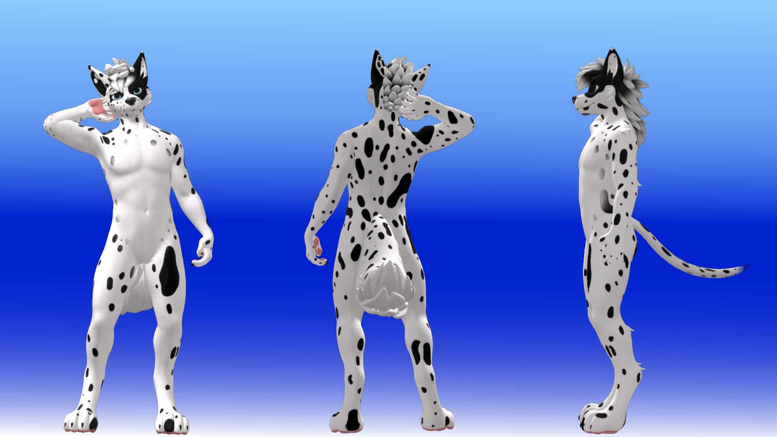 Dalmation Texture for Winterpaw Canine