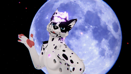 Dalmation Texture for Winterpaw Canine