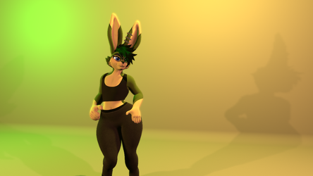Sporty Top and Leggings For The Shia Bunnia