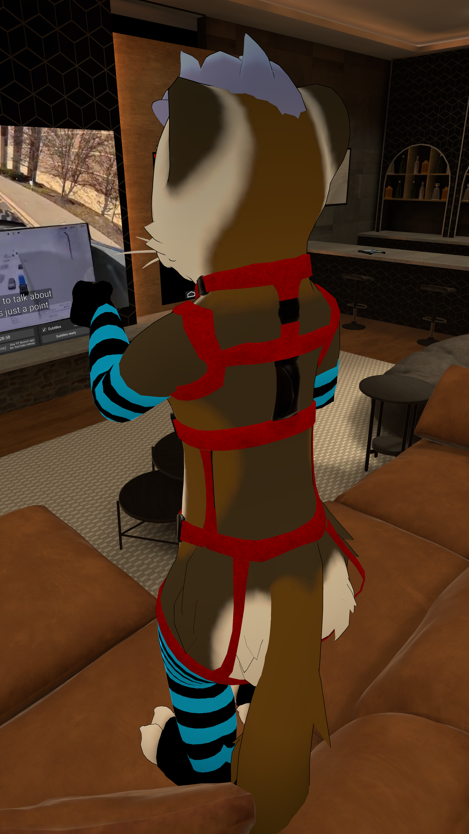 Harness For The Skynoodle