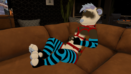 Harness For The Skynoodle