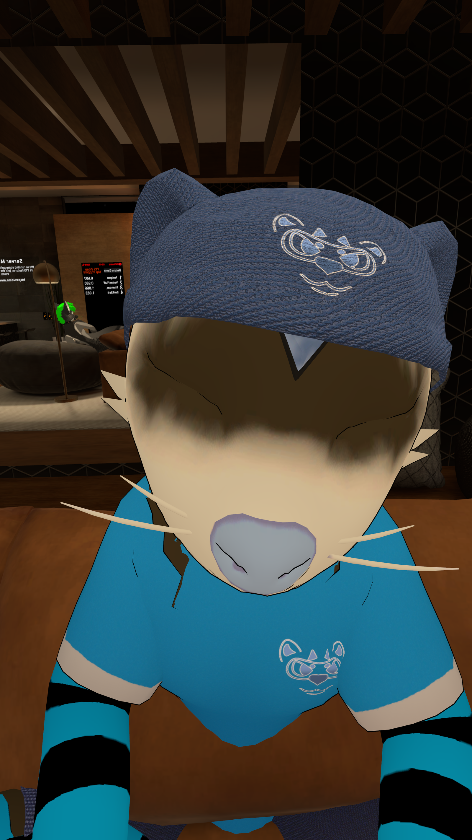 Beanie For The Harness