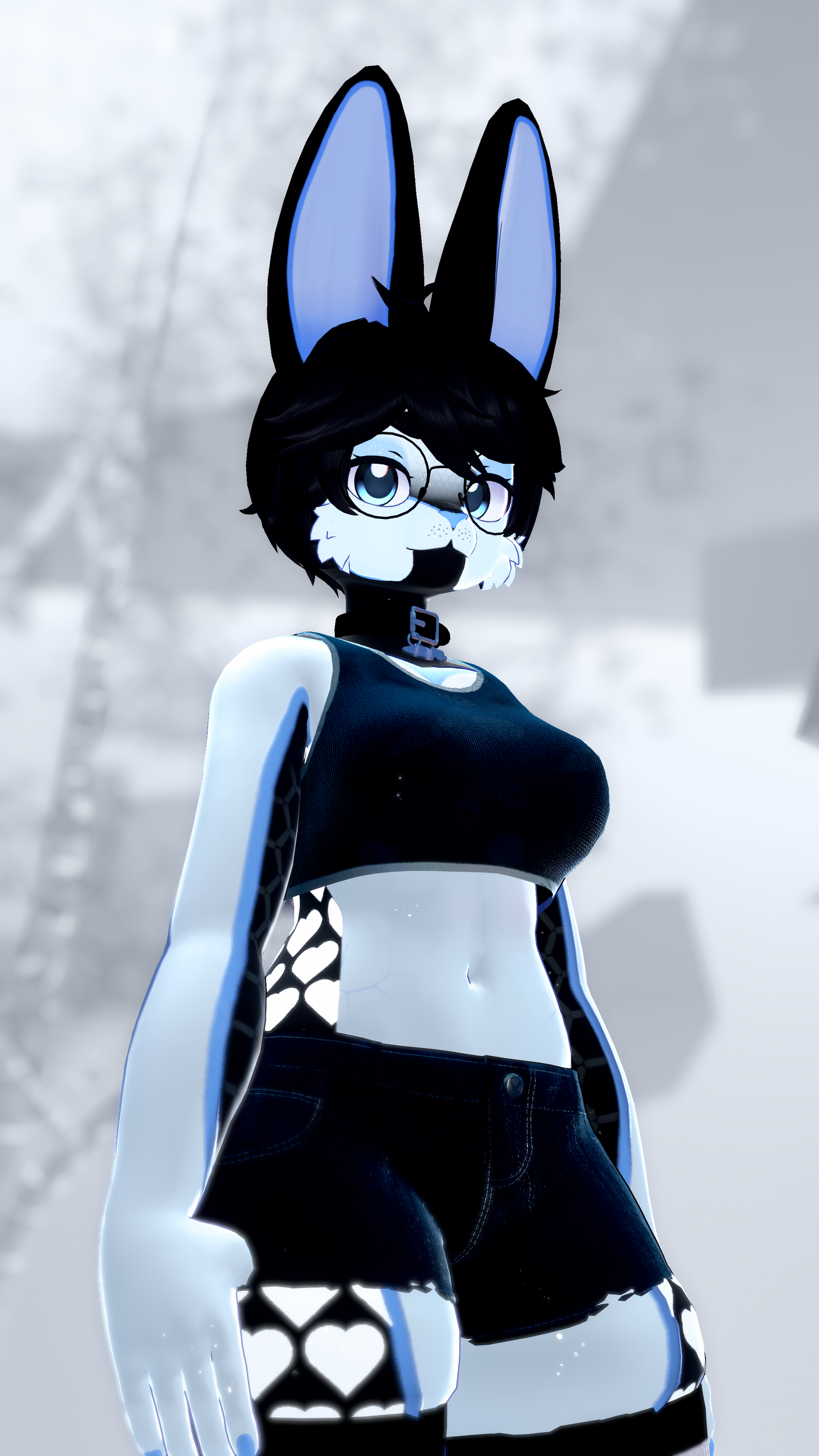 Black and White Bunny! (Biscotti/Biscotti X)