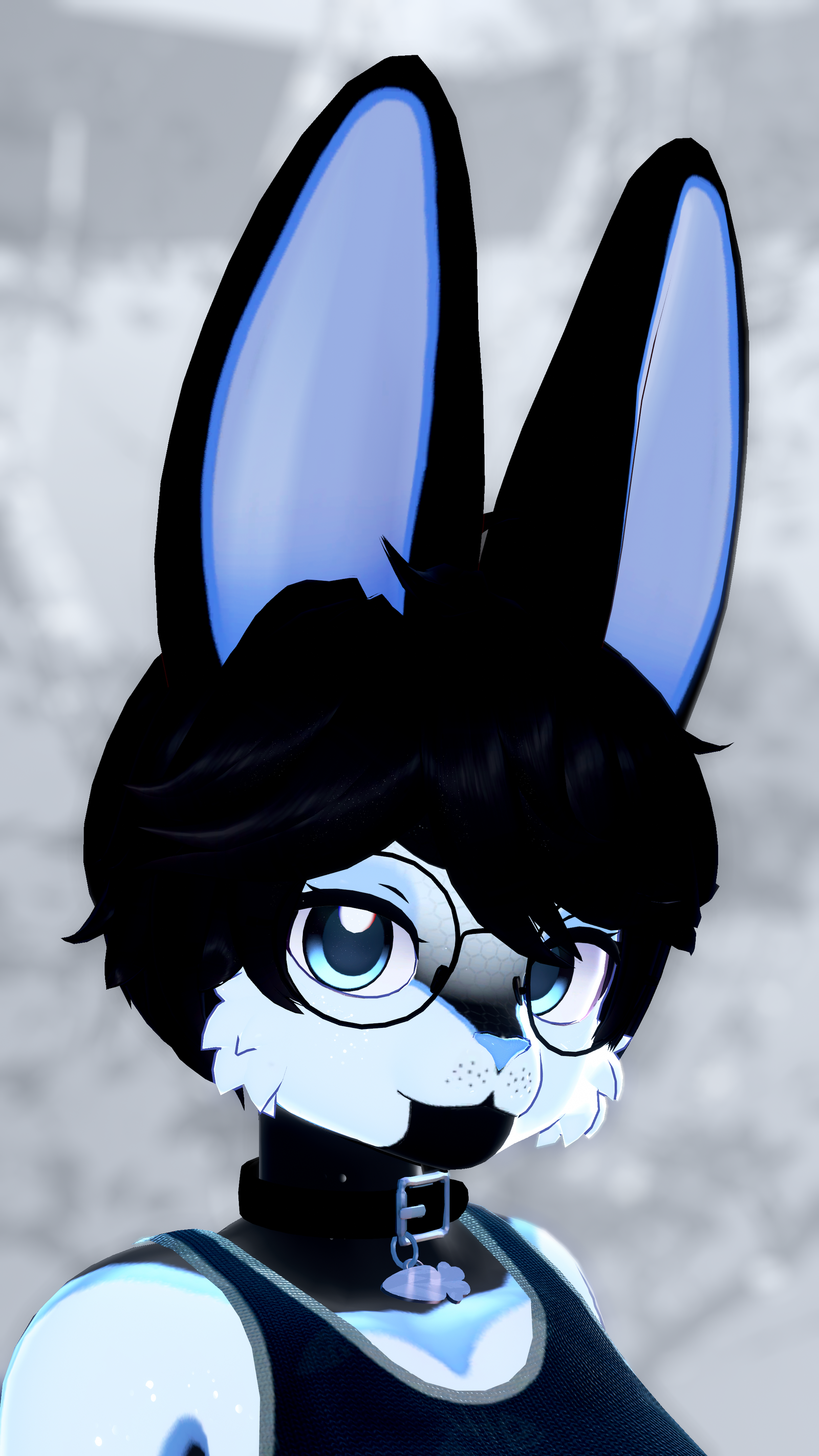 Black and White Bunny! (Biscotti/Biscotti X)